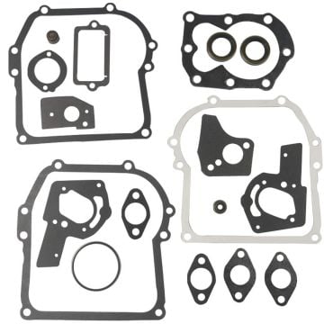 Gasket Kit 494550