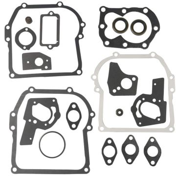 Gasket Kit 494550 495605 Lawn Mower Tractor Motor
