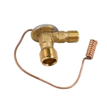 Expansion Valve 163174A1 For Case