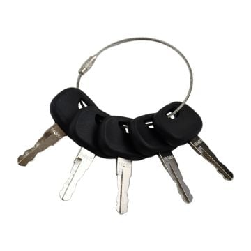 Ignition Key 5pcs 5050650256 For Skytrak