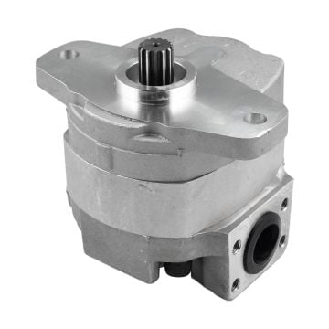 Hydraulic Gear Pump 102498 For Gehl