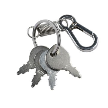 4Pcs Ignition Key For Hustler