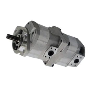 Hydraulic Pump 705-51-20240 For Komatsu