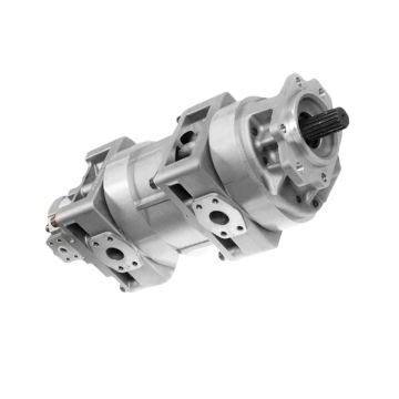 Hydraulic Pump Assembly 705-55-43000 for Komatsu