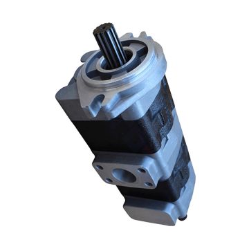 Hydraulic Pump 143C7-10011  for TCM