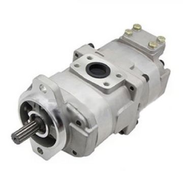 Hydraulic Pump 705-51-22000 for Komatsu