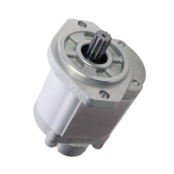 Gear Pump 1295260 for Genie