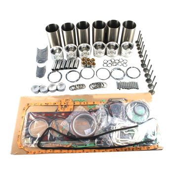 Overhaul Rebuild Kit for Kubota