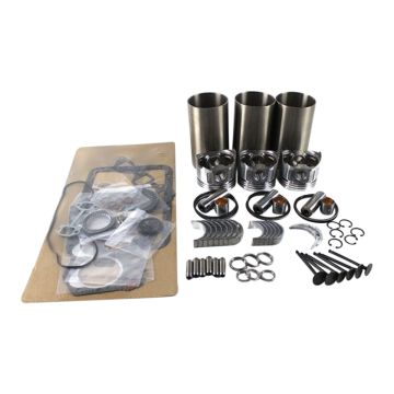 Overhaul Rebuild Kit DH1100 for Kubota