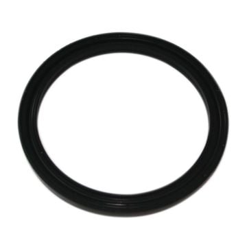 Oil Seal 1964236C1 For Case