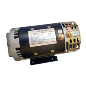 Drive Motor 00000691 for Dingli