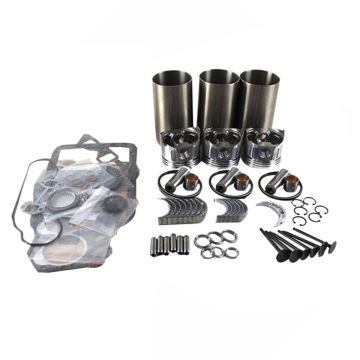 Overhaul Rebuild Kit For Kubota