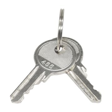 2Pcs Ignition Keys 455 For Genie 