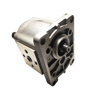 Hydraulic Gear pump CBN-E306 For Jinma