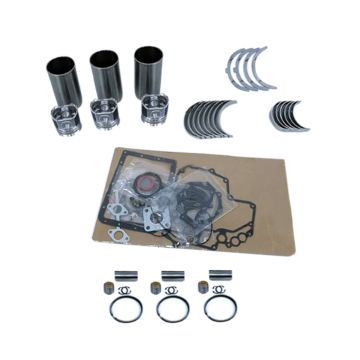 Overhaul Rebuild Kit for Isuzu