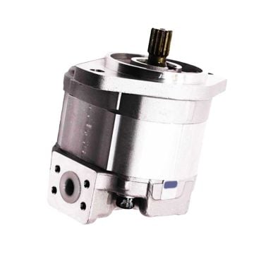 Hydraulic Pump 705-12-34010 For Komatsu