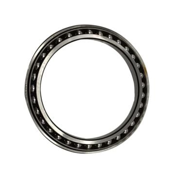 Travel Large Bearing SF4831 PX1 For Caterpillar