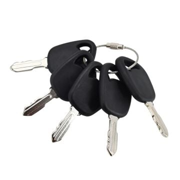 5PCS Ignition Keys 042-9000-00 for Bad Boy