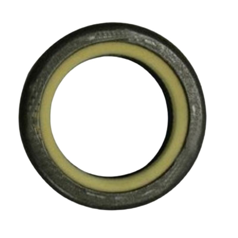 Oil Seal 85824343 Case